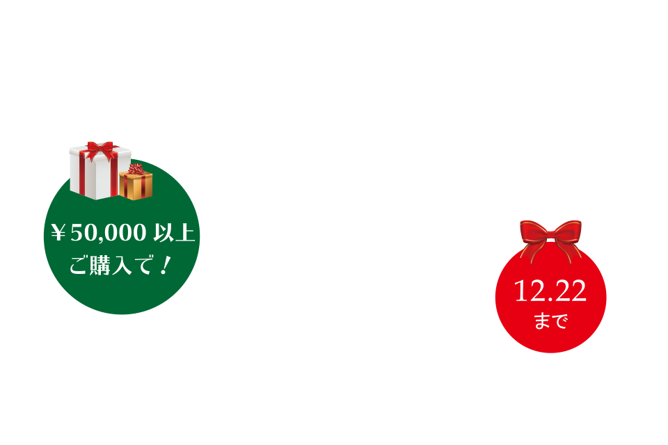 女性彩るクリスマスジュエリーコレクション