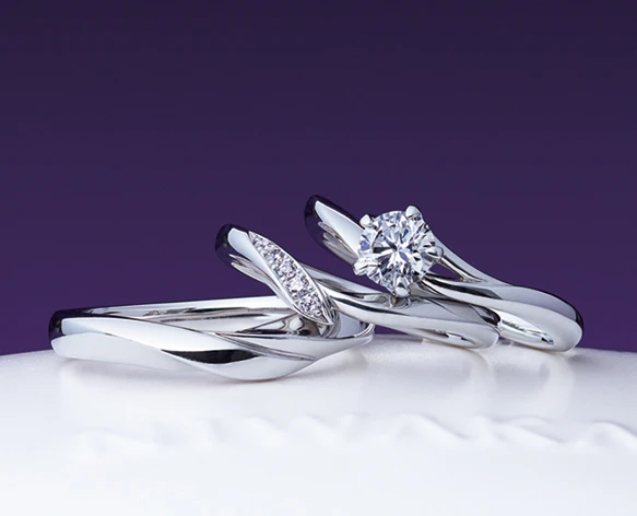 NIWAKA ストーリー