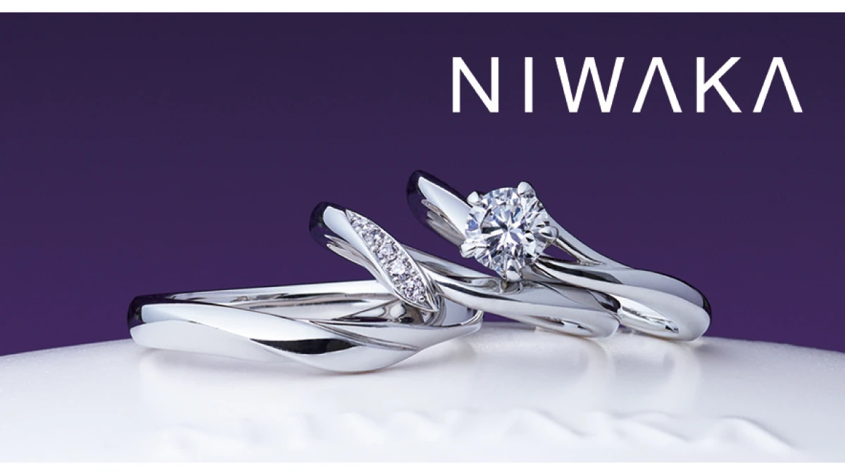 俄 NIWAKA｜人気モデル特集