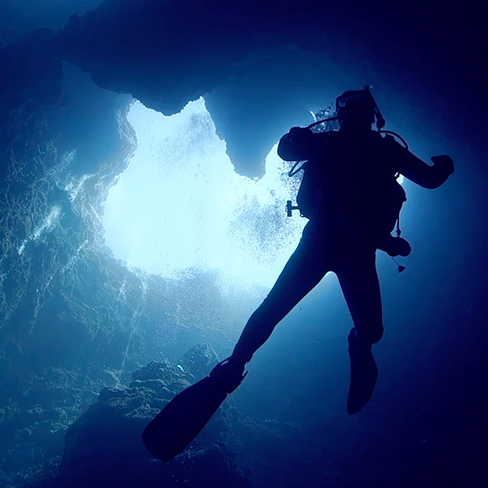セイコーダイバーズの歩み