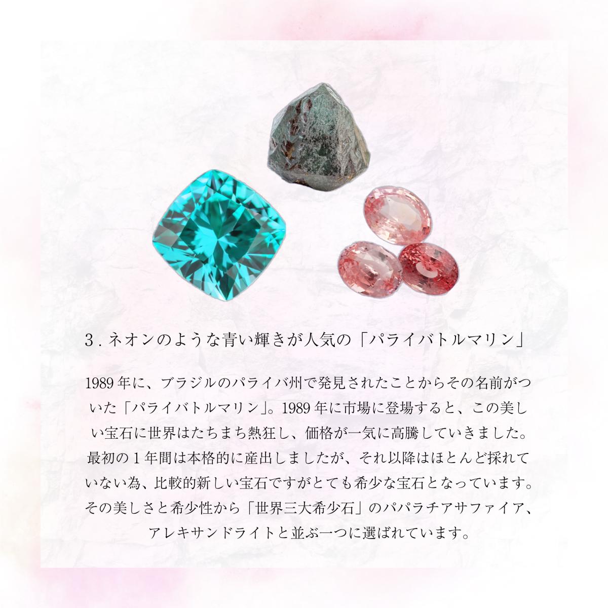N519 プラチナ 世界三大希少石 パライバトルマリンネックレス | 株式 