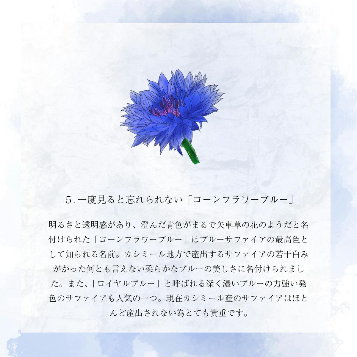 PT サファイアピアス #56864 | 株式会社山城時計店