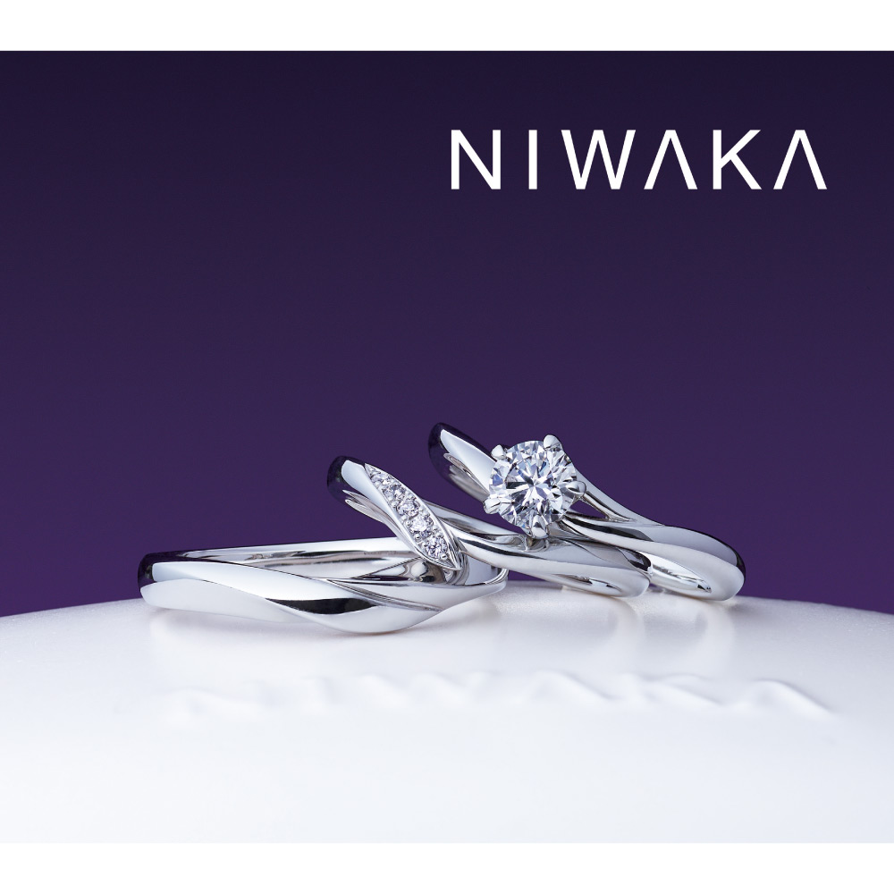 NIWAKA人気ランキング