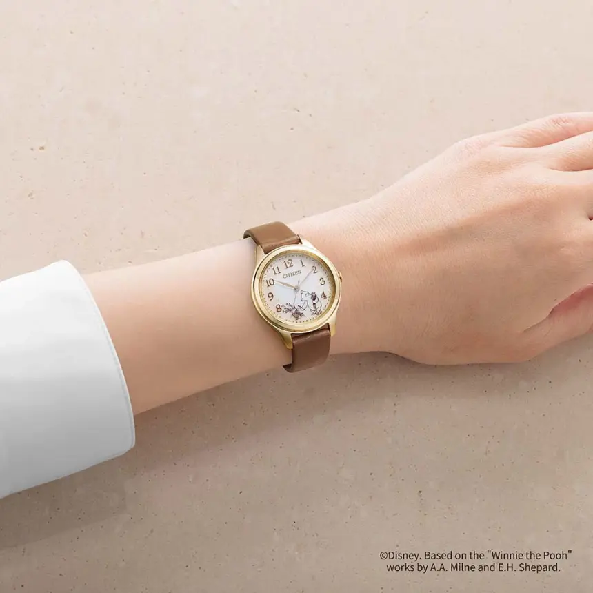 CITIZEN EM0507-07W 詳細6